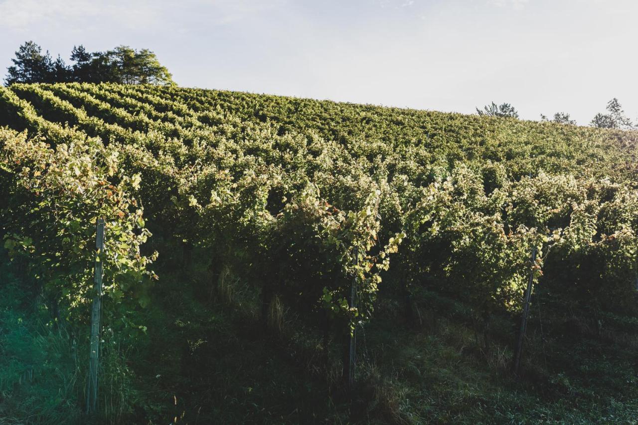 Weingut Peter Grill Bed & Breakfast Leutschach Ngoại thất bức ảnh