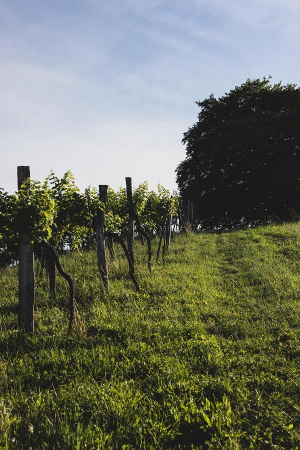 Weingut Peter Grill Bed & Breakfast Leutschach Ngoại thất bức ảnh
